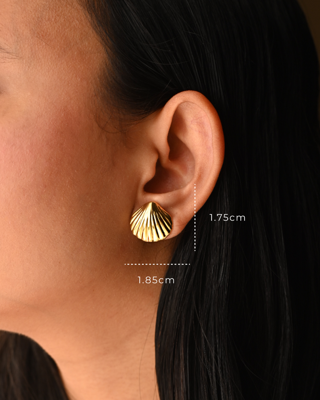 Shell Studs | Ocean Inspired Timeless Studs Era Stories