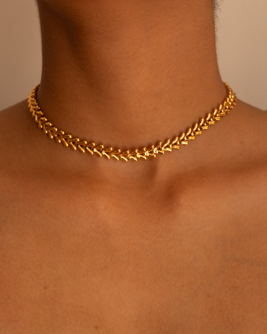 Fish Bone Necklace | Handcrafted Contemporary Choker Necklace 