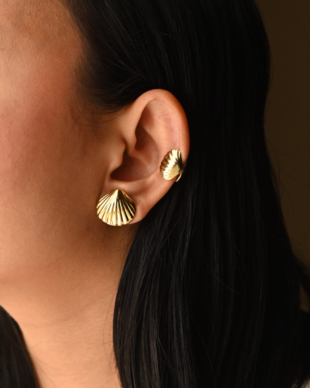 Shell Stud | Ocean Inspired Timeless Studs 