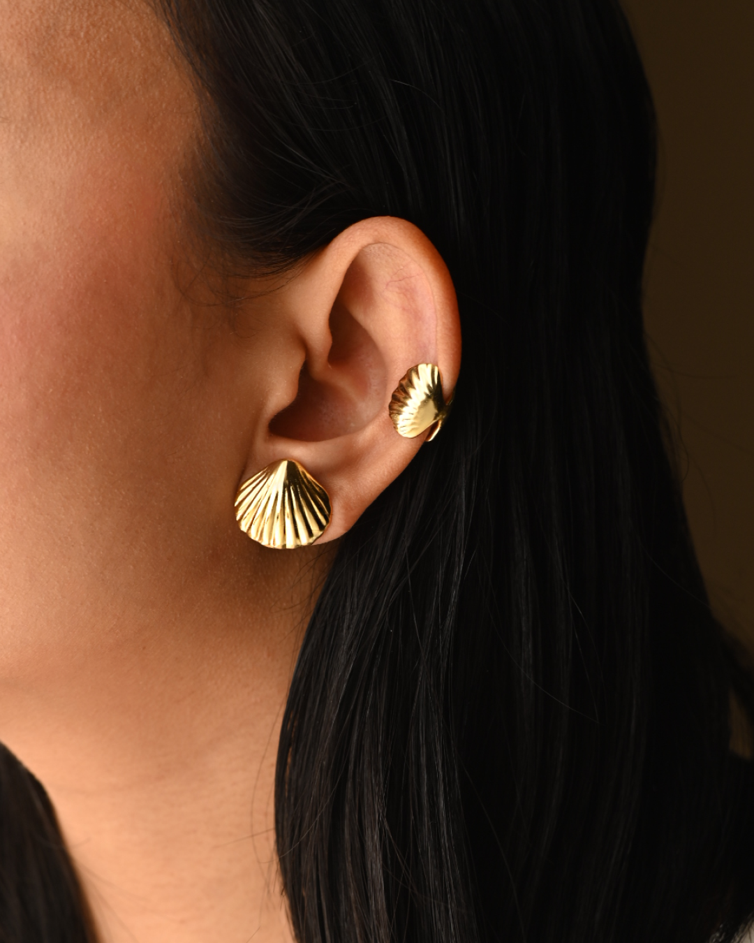 Shell Stud | Ocean Inspired Timeless Studs 